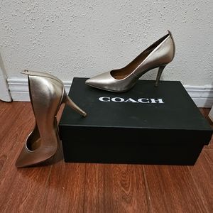 G3175 WAVERLY 85MM CHAMPAGNE